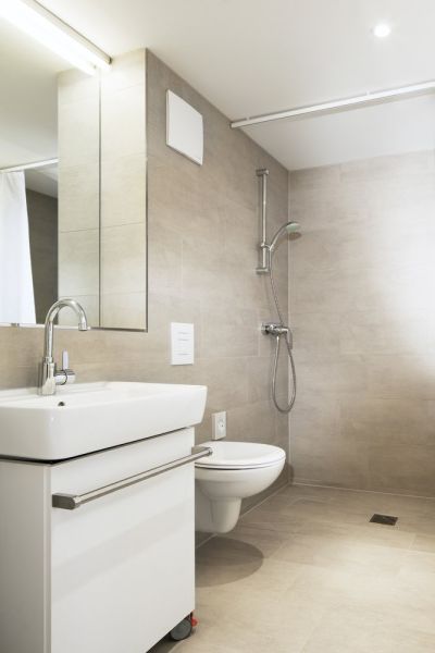 Grohe Душевая штанга Tempesta Cosmopolitan 600 мм, хром (27521000) — изображение 3